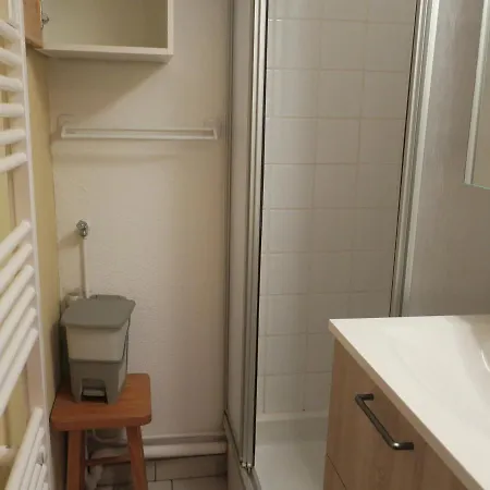 Appartement Châtel, 2 Pièces, 4 Personnes - Fr-1-198-243 *